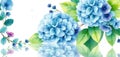 Beautiful floral illustration featuring hydrangea, eucalyptus. Light blue hydrangeas, vibrant green eucalyptus leaves create Royalty Free Stock Photo