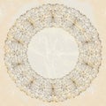 Beautiful floral lace frame Royalty Free Stock Photo