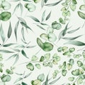 Elegant hand drawing eucalyptus leaves pattern