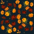 Beautiful floral pattern with orange cosmea flowers