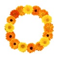 Beautiful Floral round frame