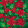 Beautiful floral seamless pattern with bright scarlet flowers on green background