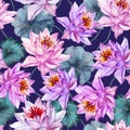 Beautiful floral seamless pattern. Large pink and lilac lotus flowers with green leaves on dark purple background. Royalty Free Stock Photo