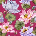 Beautiful floral seamless pattern. Large pink and purple lotus flowers with leaves on red background. Hand drawn illustration.