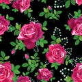 Red ,pink roses with green leaves Royalty Free Stock Photo