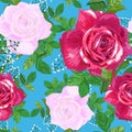 Beautiful floral seamless pattern.Red ,pink roses with green leaves on blue background Royalty Free Stock Photo