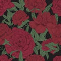 Beautiful floral seamless pattern with vinous peonies and green leaves on dark background. Blooming flowers hand drawn