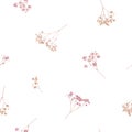 Beautiful floral seamless pattern with wild dried gypsophila flowers. Stock herbarium illustration.