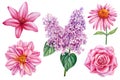 Beautiful Floral set. Dahlia, lilac, rose and lily flower isolated white background. Hand drawn watercolor illustration Royalty Free Stock Photo