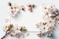 Beautiful floral spring abstract background. Flowering branches cherry on white background.