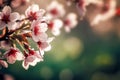 Beautiful floral spring abstract background of nature Royalty Free Stock Photo