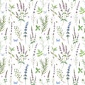 Beautiful floral vector seamless pattern with hand drawn watercolor spearmint flowers. Stock illustration.