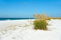 Beautiful Florida Coastline