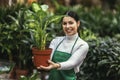 Beautiful florist working in flower shop while smiling and looking at a camera Royalty Free Stock Photo