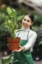 Beautiful florist working in flower shop while smiling and looking at a camera Royalty Free Stock Photo