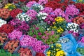 Beautiful flower arrangement, blossom store