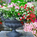 Beautiful flower arrangement in a metal vase in a summer park Royalty Free Stock Photo