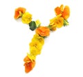 Beautiful flower arrangements with yellow orange real fresh flowers letter Y