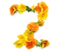 Beautiful flower arrangements with yellow orange real fresh flowers letter Z