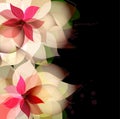 Beautiful flower background with splashes