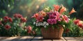Beautiful Flower Basket Image Royalty Free Stock Photo