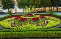 Beautiful flower bed closeup Royalty Free Stock Photo