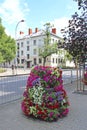 Beautiful flower beds in city. Urban nature in Warsaw