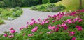 Beautiful flower beds and walking way at westpark munich, bavaria