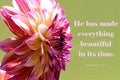 Beautiful flower blossom on green background with quotes Royalty Free Stock Photo