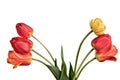 Beautiful flower bouquet from tulips isolated on a white Royalty Free Stock Photo