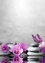 Beautiful flower, butterfly and stone zen spa on grey background Royalty Free Stock Photo