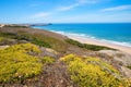 Flower coast west algarve, mediterranean landscape Royalty Free Stock Photo