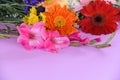 Beautiful flower colorful gerbera and Gladiolus spring flowers decorate pink background