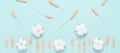 Beautiful flower composition banner. Cotton flowers and ripe ears of wheat on a pastel blue paper background. Top view, flat lay Royalty Free Stock Photo