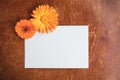 Beautiful flower composition. Mockup with white sheet of paper and orange garden flowers. Summer vintage decor Royalty Free Stock Photo