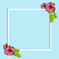 Beautiful flower composition white blank photo frame Roses and leaves placed on top Light blue background. For Valentine's Day. Royalty Free Stock Photo