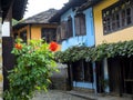 Beautiful flower in the ethnographic village of Etara Bulgaria_1