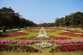 Beautiful Flower exibition Lahore 2016