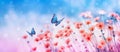 Beautiful Flower Field And Flying Butterflies On Blue Sky Background. Colorful Toning Of Amazing Nature Landscape With Wild Plants