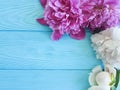 Beautiful flower fresh peonies blossom card decoration greeting a blue wooden background, summer frame Royalty Free Stock Photo