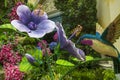 a beautiful flower garden with a hummingbird at Bellagio Conservatory and Botanical Gardens with colorful flowers Royalty Free Stock Photo