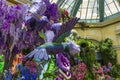 a beautiful flower garden with a hummingbird at Bellagio Conservatory and Botanical Gardens with colorful flowers Royalty Free Stock Photo