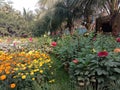 A beautiful flower garden maintained by sarat sadan auditorium in Howrah West Bengal Kolkata India