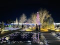 Ashikaga Flower Park New Year illumination