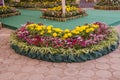 Beautiful flower gardens fences on block floor Royalty Free Stock Photo