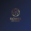 Beautiful flower gold luxury decoration vector logo drop water frangipani Royalty Free Stock Photo