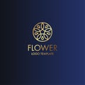 Beautiful flower gold luxury decoration vector logo line art drop water frangipani Royalty Free Stock Photo