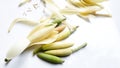 Beautiful Flower, Illustration of White Michelia Alba Flower or Michelia Champaca Flower on the white background