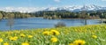 Beautiful flower meadow at alpine lake and snow covered mountains. Royalty Free Stock Photo