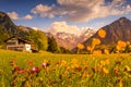 Flower meadow with snow covered mountains and traditional house in Sunset or Sunrise. Bavaria, Alps, Allgau, Oberstdorf